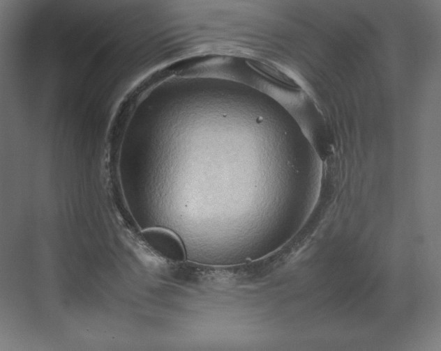 X0000070210971200606021251