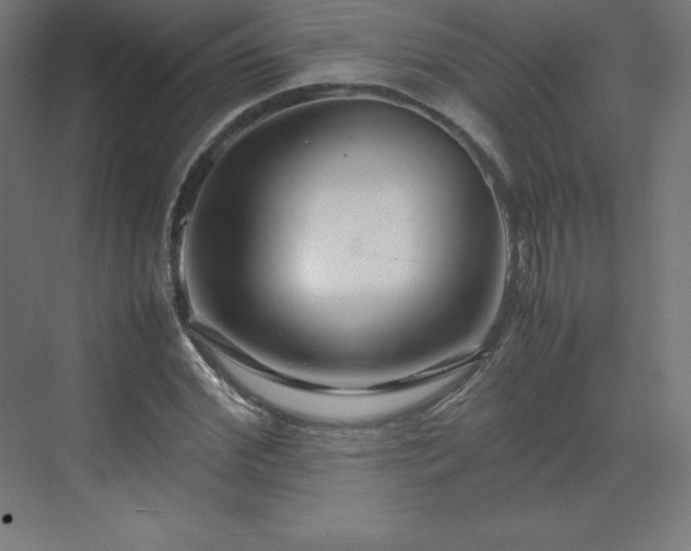 X0000070210972200606021251