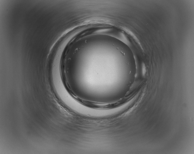 X0000070210973200606021251