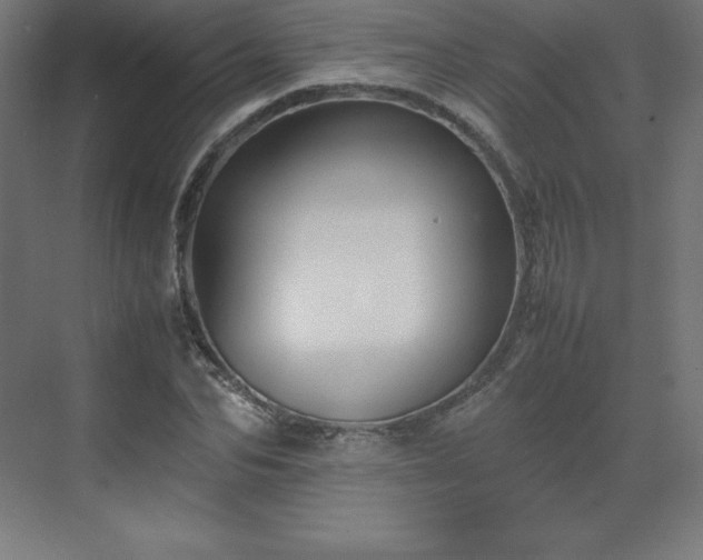 X0000070210974200606021251