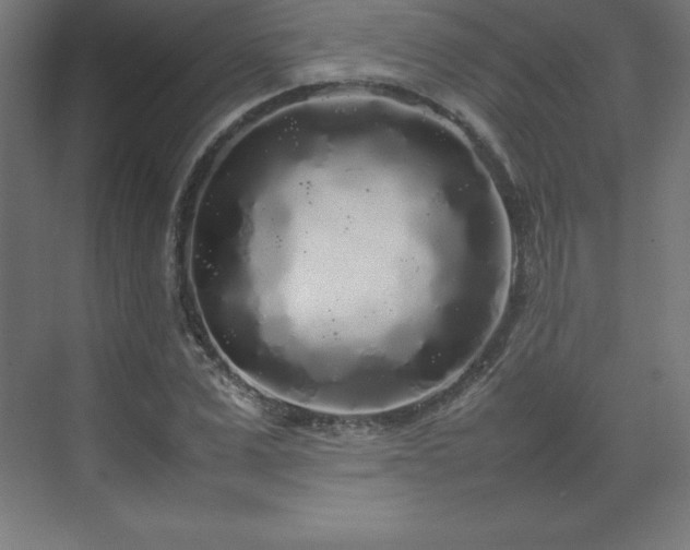 X0000070210975200606021251