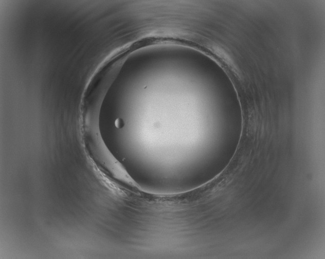 X0000070210976200606021251