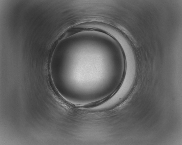 X0000070210977200606021251