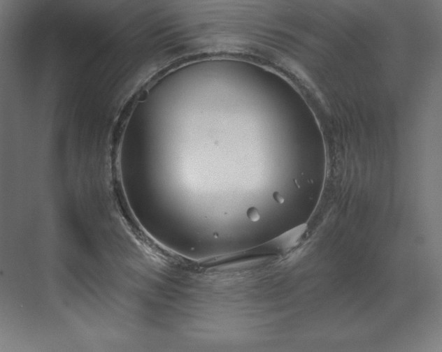 X0000070210978200606021251