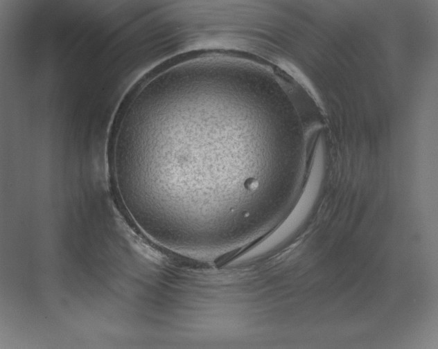 X0000070210980200606021251