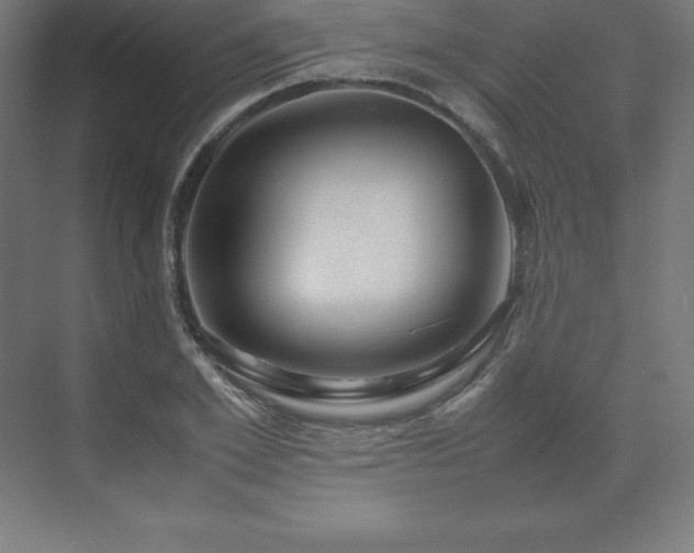 X0000070210981200606021251