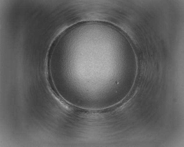 X0000070210982200606021251