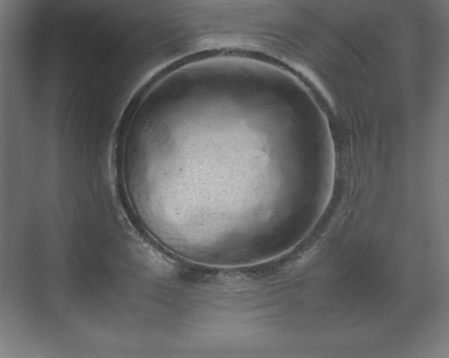 X0000070210983200606021251