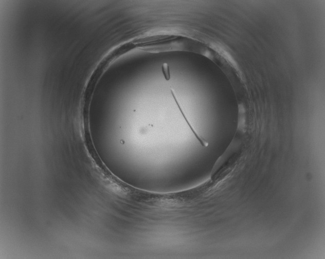 X0000070210984200606021251