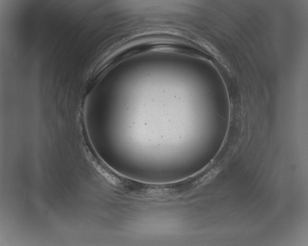 X0000070210985200606021251