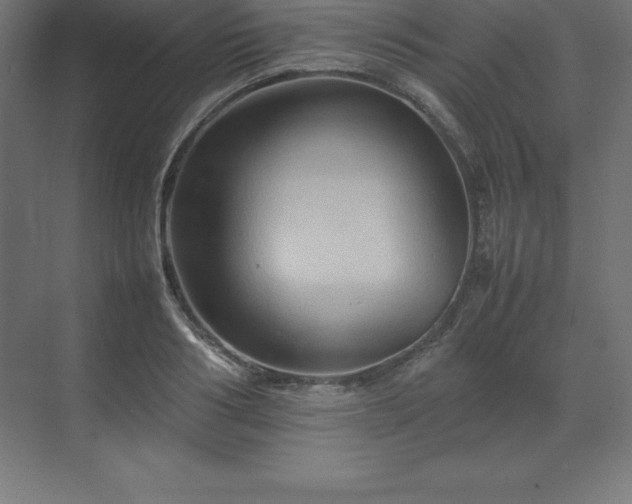 X0000070210986200606021250