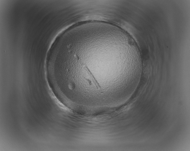 X0000070210987200606021250