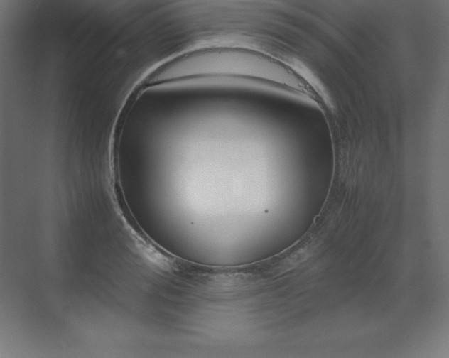 X0000070210988200606021250