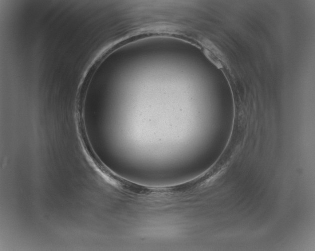 X0000070210989200606021250