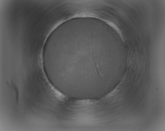 X0000070210990200606021250