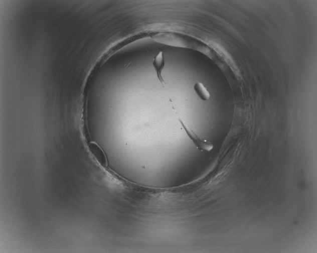 X0000070210992200606021250