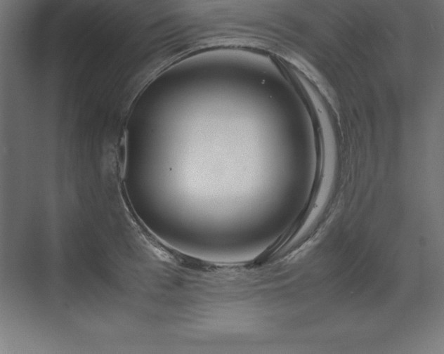 X0000070210993200606021250