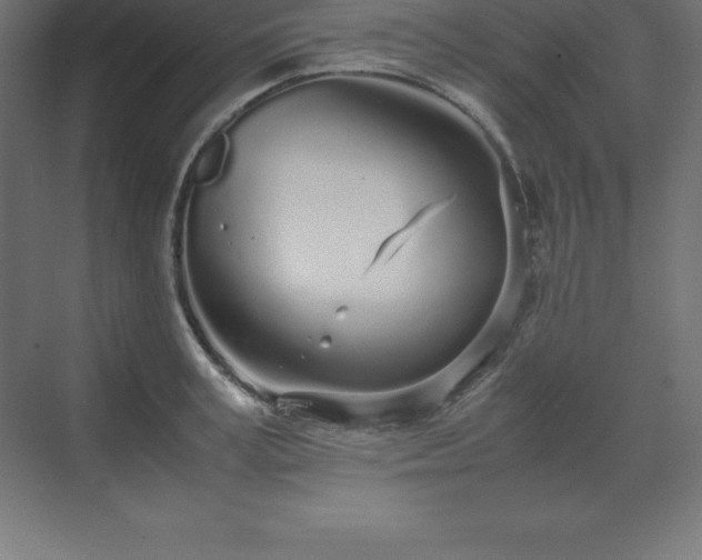 X0000070210995200606021250