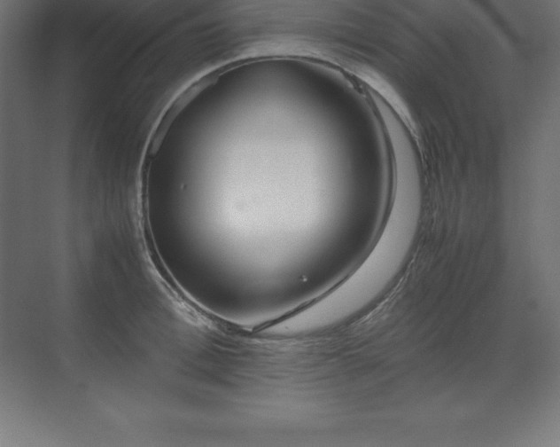 X0000070210996200606021250