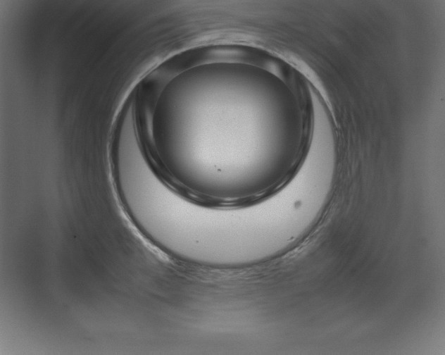 X0000070210997200606021250