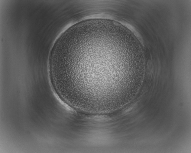 X0000070210998200606021250