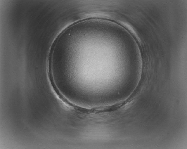 X0000070210999200606021250