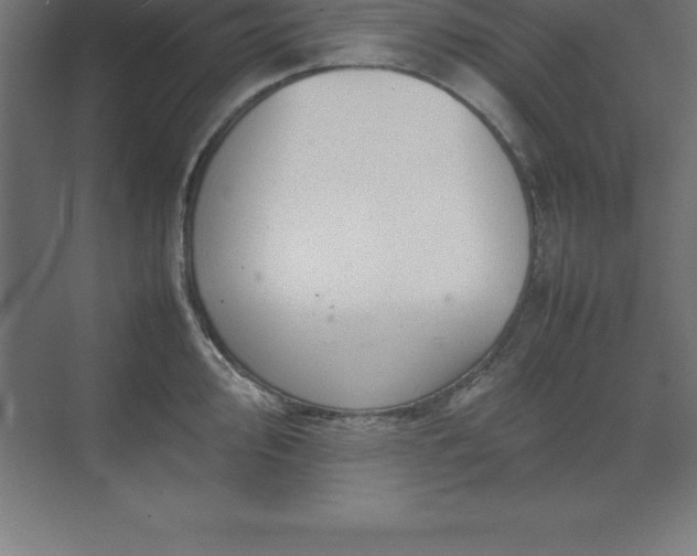 X0000070211000200606021250