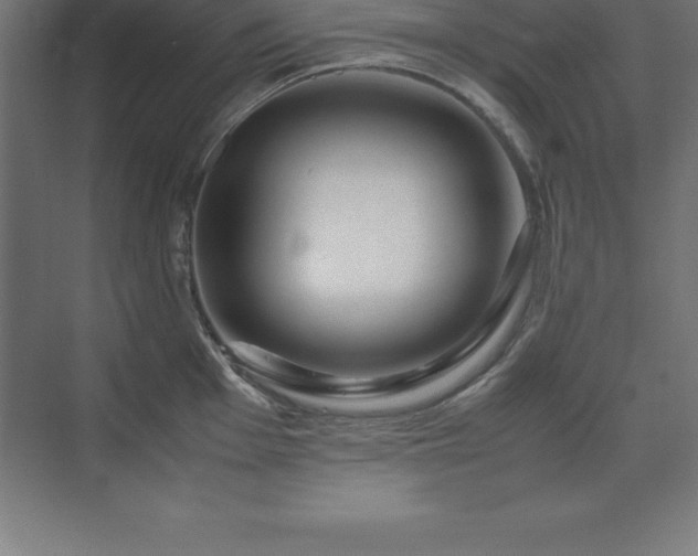 X0000070211001200606021250