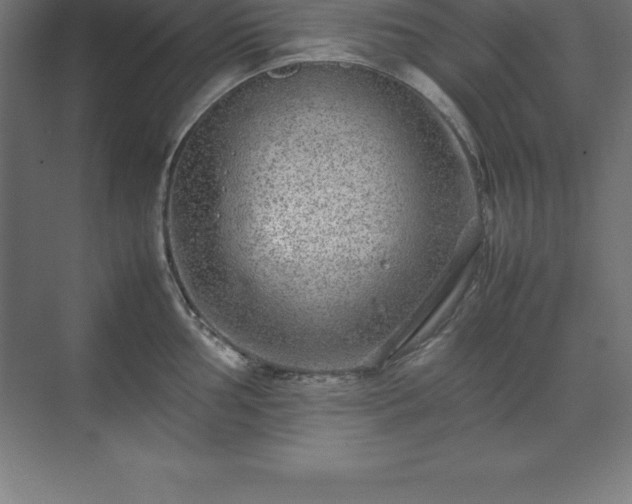 X0000070211002200606021250