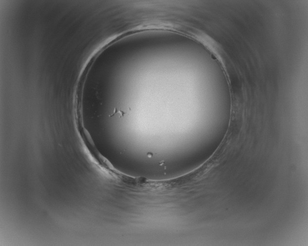 X0000070211003200606021250