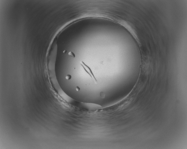 X0000070211004200606021250