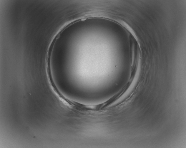 X0000070211005200606021250