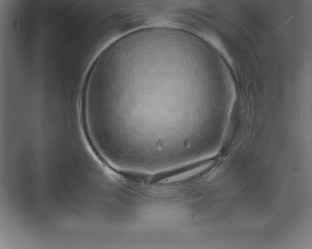 X0000070211007200606021250