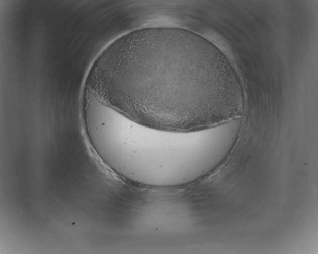 X0000070211008200606021250