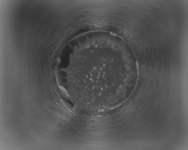 X0000070211009200606021249