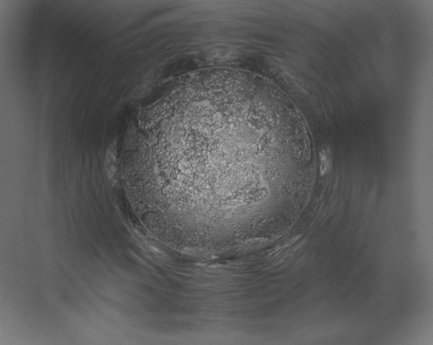 X0000070211011200606021249