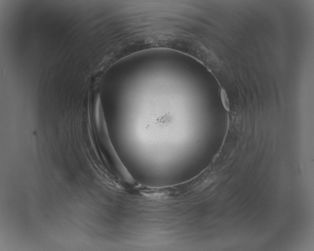 X0000070211012200606021249