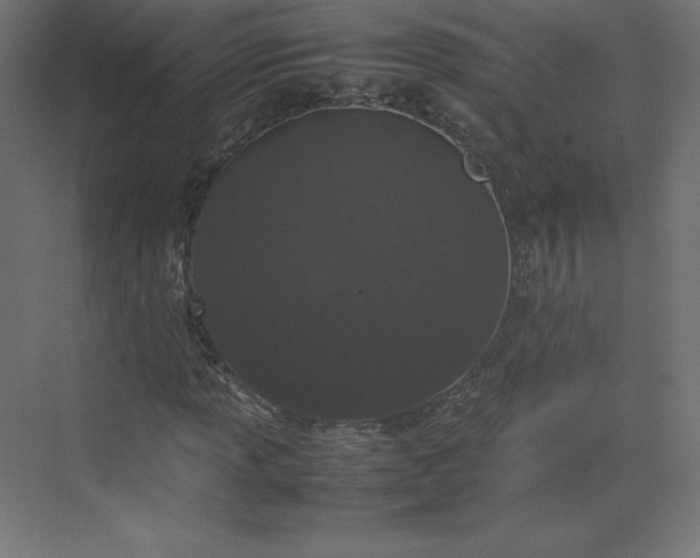 X0000070211013200606021249