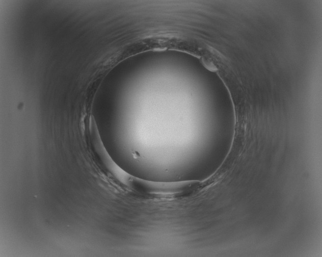 X0000070211014200606021249