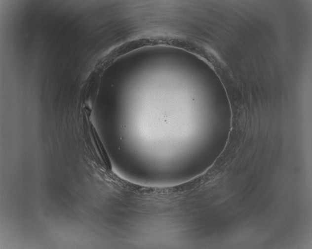 X0000070211016200606021249