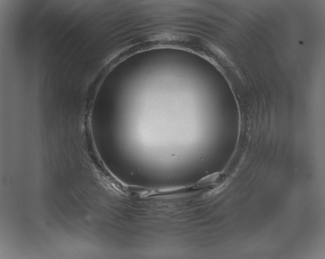 X0000070211017200606021249