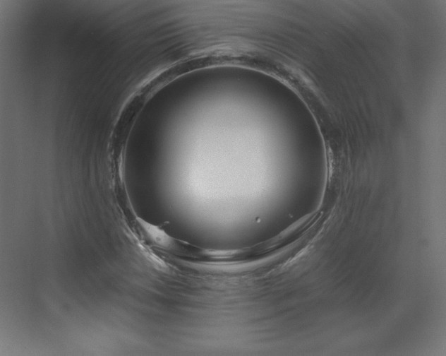 X0000070211018200606021249