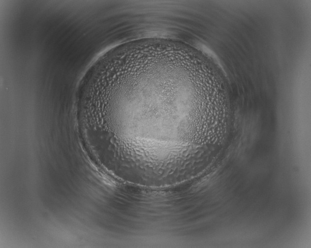 X0000070211019200606021249