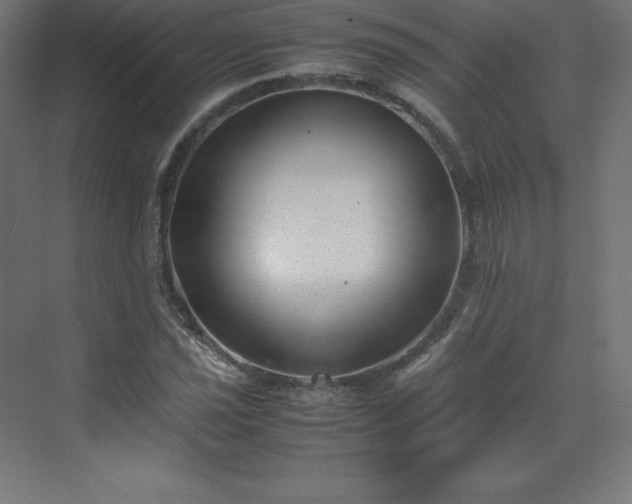 X0000070211021200606021250