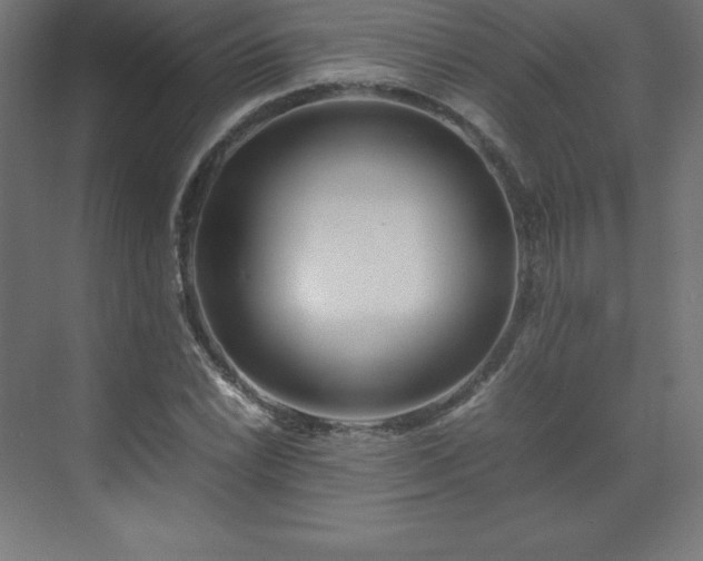 X0000070211022200606021250