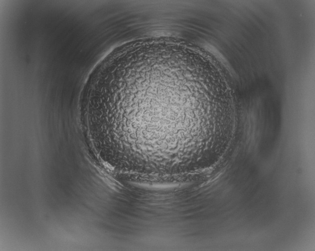 X0000070211023200606021250