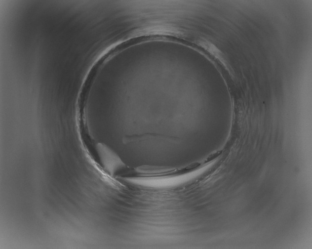 X0000070211024200606021250