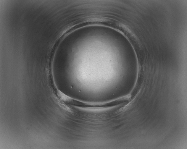 X0000070211025200606021250