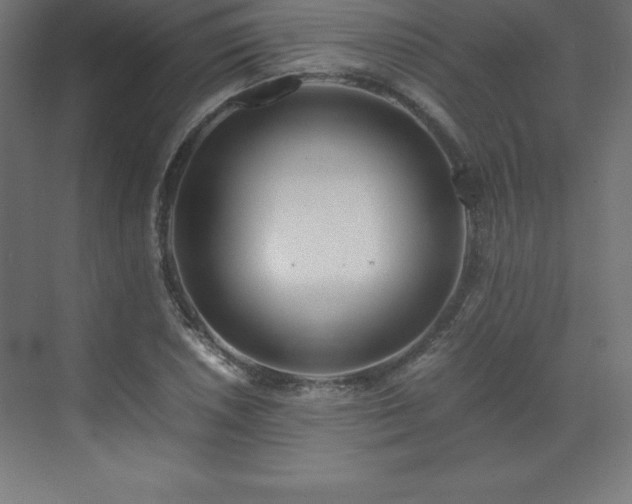 X0000070211026200606021250