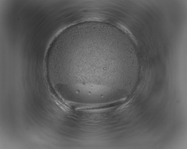 X0000070211027200606021250